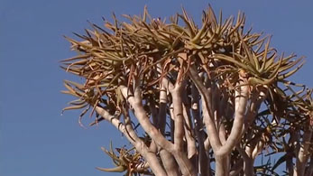 Namibia 2