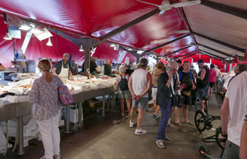Chioggia 13