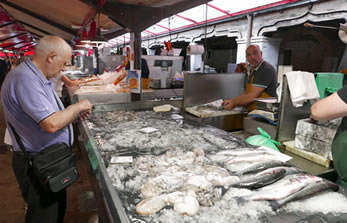 Chioggia 14