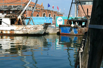 Chioggia 5