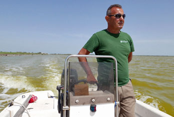 Comacchio 11