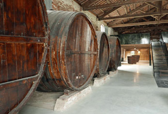Comacchio 14