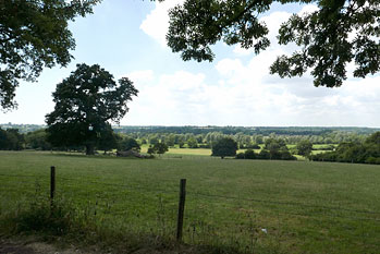 Constable 16