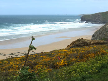 Bucht und Sandstrand