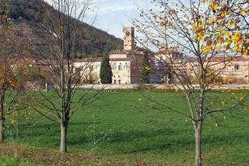 Grappa 11