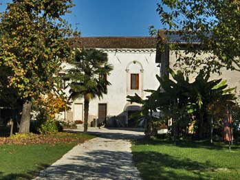 Grappa 6