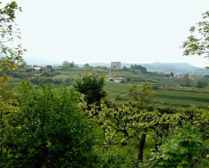 Isonzo10