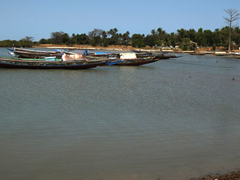 Jalibah3