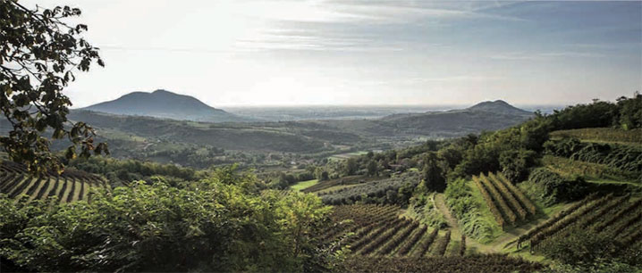 La Grappa 1
