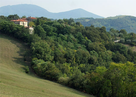 La Grappa 21