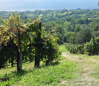 La Grappa 7