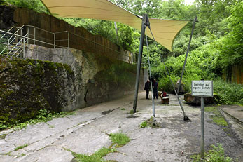 Museo Jatta 4