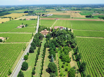 Lambrusco 10