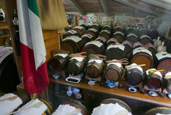 Lambrusco 6