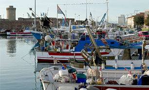 Livorno 24