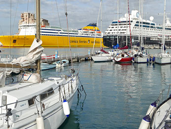 Livorno 4