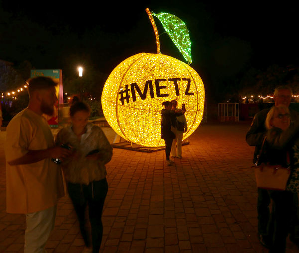 Lothringen Mirabelle 9