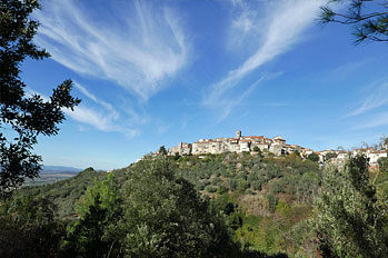 Maremma 12