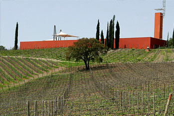 Maremma 15