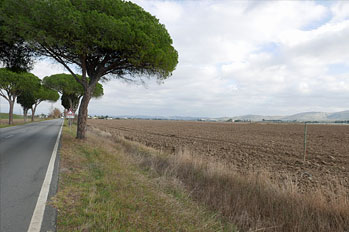 Maremma 17