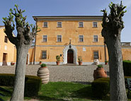 Maremma 21
