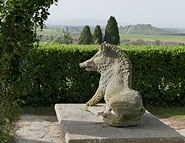 Maremma 22