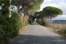 Maremma 5