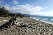 Maremma 6