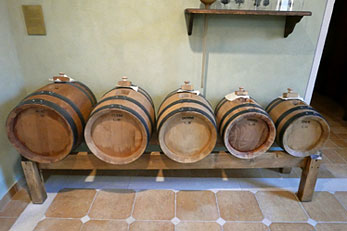 Modena 8