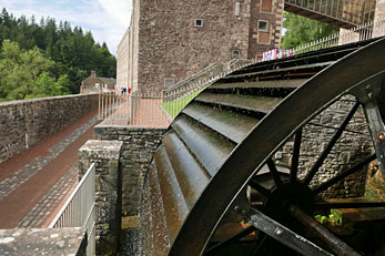 Aliano 5