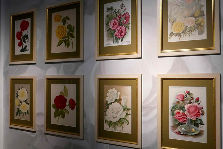 Rosenmuseum6