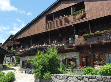 sauris2