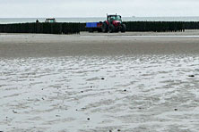 Somme Bucht 23