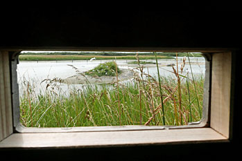 Somme Bucht 4