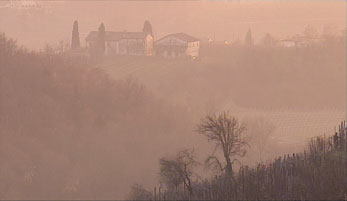Weingut an der Strada del Prosecco