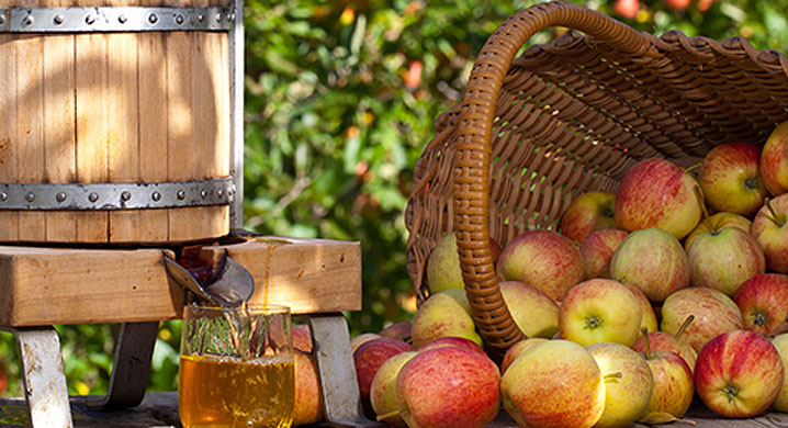 Cider1