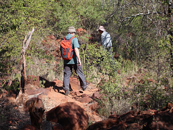 Waterberg2