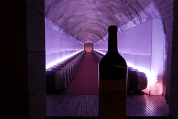 Maremma, Wein und kühne Bauten2