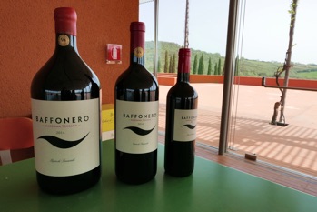 Maremma, Wein und kühne Bauten6